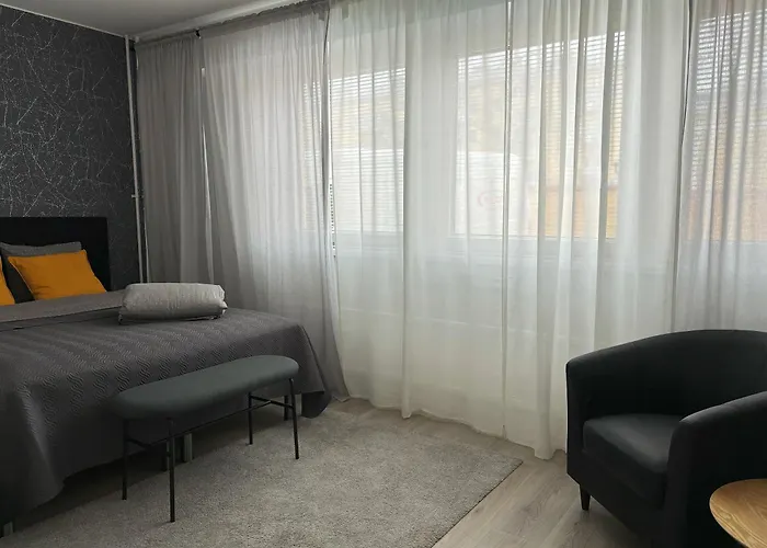 公寓式酒店 Hamina City Apartments 4*